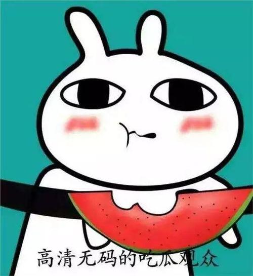 坐等吃瓜表情包图片搞笑